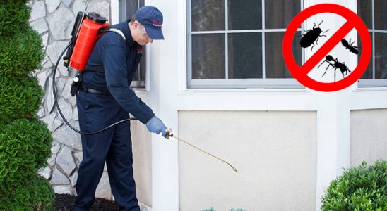 Evka 3 Haşere İlaçlama böcek ilaçlama ve haşere kontrolü — ilaclama-tr.com
